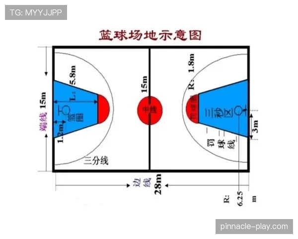 球场尺寸规则：国际赛与业余赛长度宽度标准
